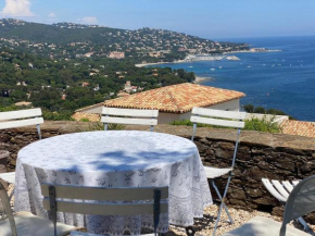 Villa Louise